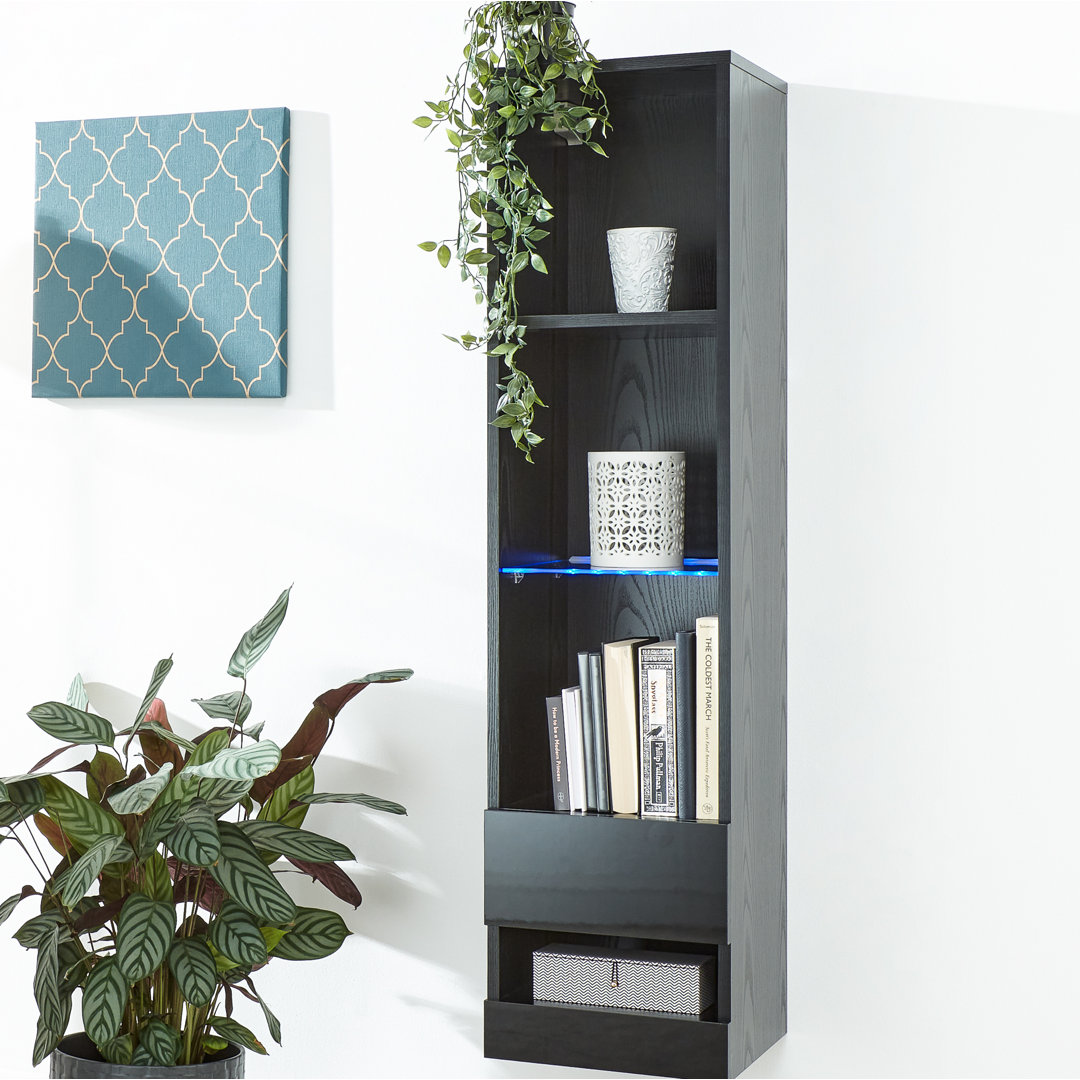 Wade Logan Kedzie Wall Mounted Display Cabinet with Lighting Black 120cm H X 30cm W X 30cm D